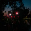 Knog Bandicoot Run Headlamp Orange One Size