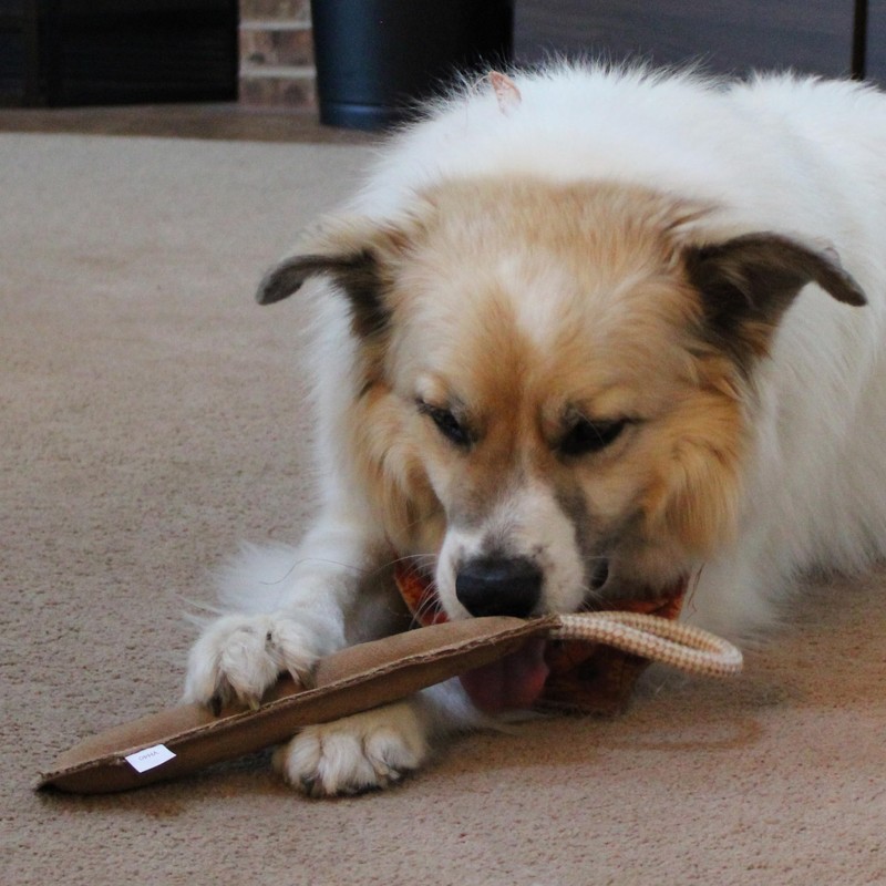 SPOT Dura-Fused Leather Retriever Dog Toy – Real Leather &