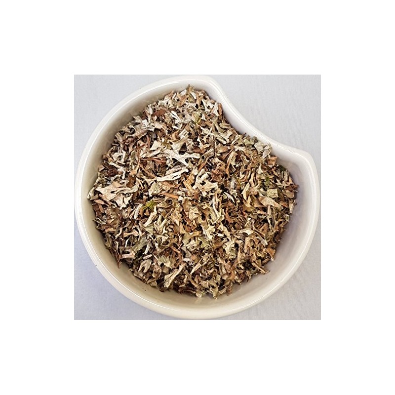 Herba Organica Iceland Moss - Cetraria Islandica L - Herbal