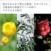 OSAJI Kai Liberation Shampoo, Cleaning Ingredients Derived from Amino Acids,