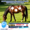 edoia Equine Paste 1.87% – 6 Pack (6.08g) Apple Flavored