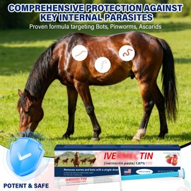 edoia Equine Paste 1.87% – 6 Pack (6.08g) Apple Flavored Oral for Horses
