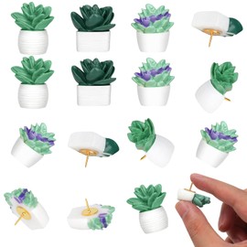 20 Pieces Cute Succulent Plants Decorative Push Pins Colorful Floret Thumbtacks for Photo Wall, Feature Wall, Whiteboard, Cork Board, Map, Bulletin Board, Office or Home (Three Assorted Styles) | Utron