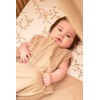Lenzuolo per lettino Meyco Baby Branches (lenzuolo in 100% cotone