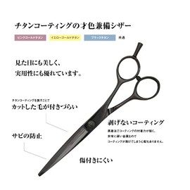 DEEDS GDZ Professional Japanese Shears Maker Black Titanium Scissors 5.5 Inch Hairdresser Hair Cutting Professional