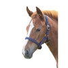 Shires Foal Nylon Headcollar Navy Blue