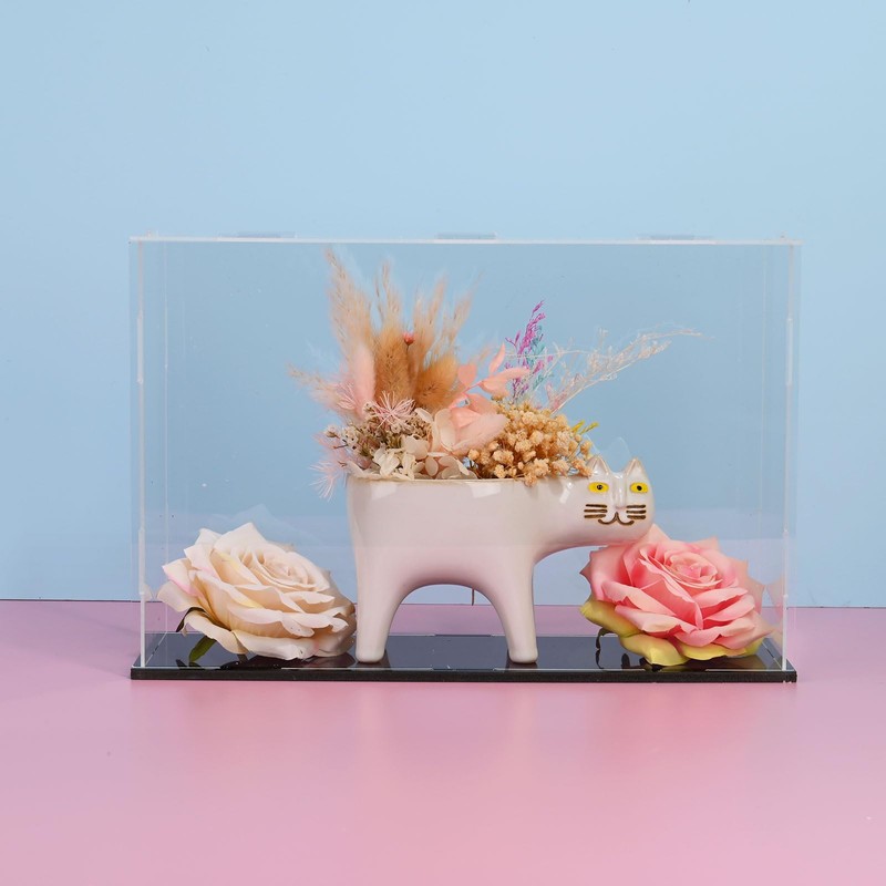 M METERXITY 1-Pack Acrylic Display Case, 9.8x3.9x3.9 Inch/25x10x10cm Acrylic Clear