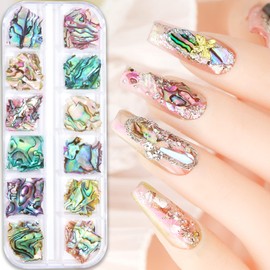 12 Grids Sea Shell Nail Art Nail Flakes,Irregular Abalone Shell Slices Nail Art Glitter Slices Colorful Manicure Mermaid Slices Nail Supplies Set UV Gel Flake Nail Decorations for Nail Art Design
