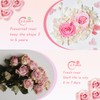 6.5”x8.5” Preserved Flowers Pink Rose Hydrangea Flower Frame with Butterfly
