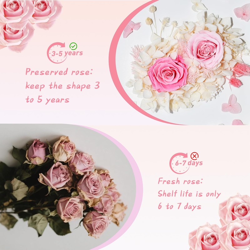 6.5”x8.5” Preserved Flowers Pink Rose Hydrangea Flower Frame with Butterfly