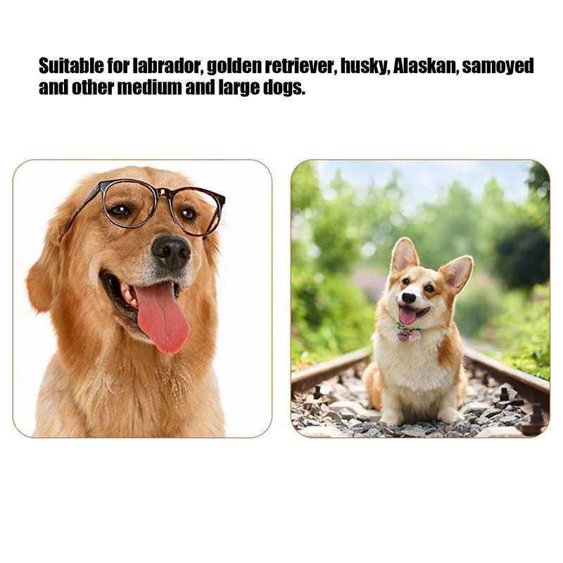 Pet Dog Rubber Safety Molar Cleaning Tooth Rod Playing Biting