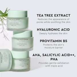 The Face Shop Tea Tree - Crema Facial Coreana| Hidratante Ligero Control de Poros y Sebo | Con AHA, BHA, Pha y Extracto de Árbol de Té | Calma la Irri