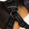 EveryYay Easy On Training Dog Harness, Black, Medium