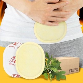 Lady Friends Herb Patch 40g 240 Attachment Hot Pack Paste Type Camping Hiking Fishing cold weather