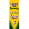 Crayola Metallic FX Colored Pencils - 8 Pencils