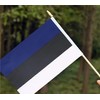 Ckexin 25Pack Small Estonia Flag Handheld Mini Estonian Flags on