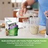 NURTIVE Potato Protein Peptide Powder - Plant-Based, Rich in Nutrients
