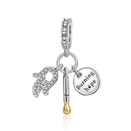 YUMINN Life Series Charms for 925 Sterling Silver for Women Bracelets & Necklaces Dangle Pendant for Christmas Valentine's Day Mother's Day Jewellery Gifts for Women, Sterling Silver, Cubic Zirconia