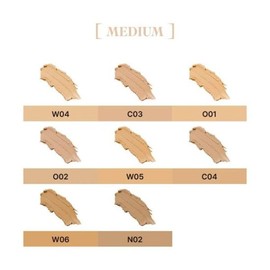 와이레스 틴티즈 바운시 피팅 스틱 컨실러 Wireless Tinties Bouncy Fitting Stick Concealer