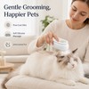 4-in-1 Pet Mist Grooming Brush – Rechargeable Spray Comb for
