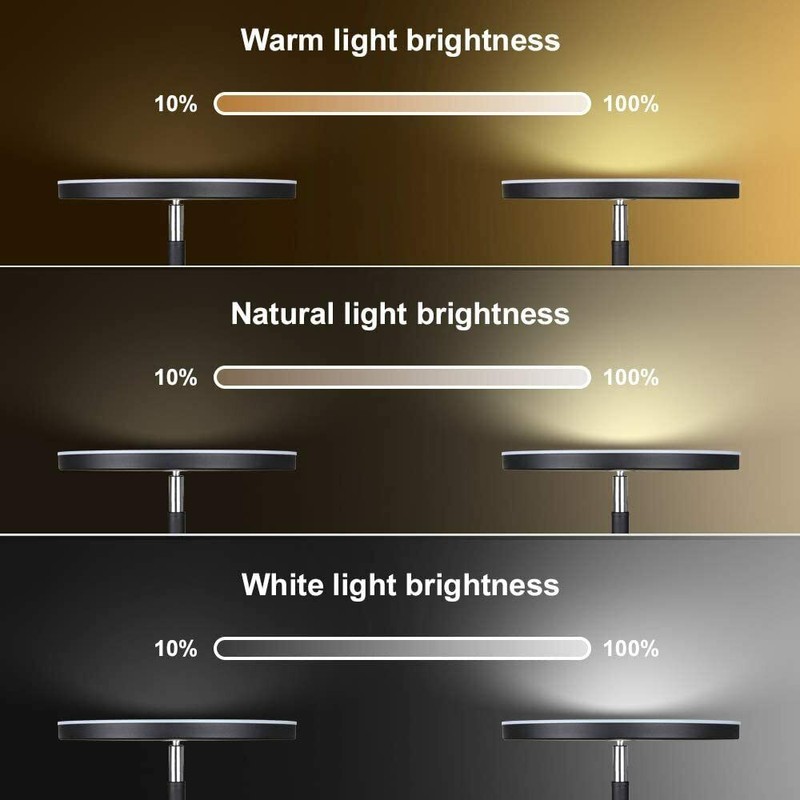 Dimunt Floor Lamp - LED Floor Lamps for Living Room
