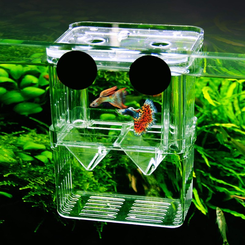 FGXY Aquarium Fish Breeding Box, Plastic Fish Isolation Box, Multi-Functional