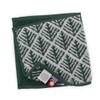 Iori Half Handkerchief Tree, 9.8 x 4.9 inches (25 x