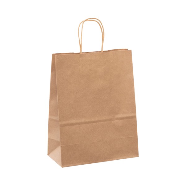 Creative Bag Brown Paper Boutique Bags with Handles for Wedding, Party Favor, Thank You, and More, Kraft-Colored Economy Gift Bags, 10” L x 5” W x 13” H (50 Count)