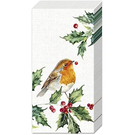 IHR Ideal Home Range Pocket Tissues 4-Ply Facial Tissue Pack, 10-Count, Lexi & Robin (Cream), 1-Pack Only