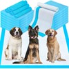 Pee Pads for Dogs & Cats 40"x40" 40 Count, Puppy