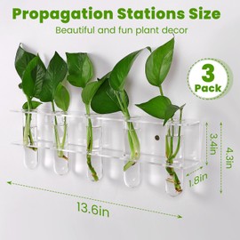 GOFOWRK Wall Plant Propagation Stations, Split-Type Acrylic Propagated Plant Holders with 15 Pcs Glass Propagation Tube Vases, Clear Propagation Vases for Hydroponic Plants, Cutting Flower (3 Pack)