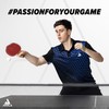 JOOLA table tennis rubber Dynaryz ACC (black max+)