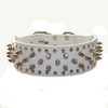 Haoyueer Faux Leather Studded Dog Collar for Medium Large Dogs