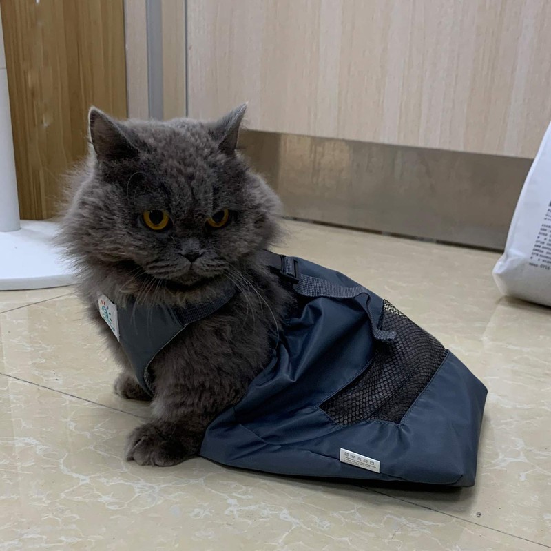 derYEP Dog Drag Bag Durable Indoor for paralyzed Disabled Back