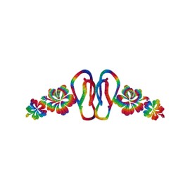 Flip Flops Hibiscus DK/TD