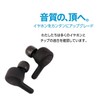 Comply TW-200-C Earbud Tips, Medium Size, 1 Pair, Sound Insulation,