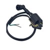 ERRIPA Ignition Coil 50cc 70cc 90cc 110cc 125cc ATV Apollo