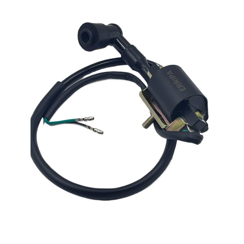 ERRIPA Ignition Coil 50cc 70cc 90cc 110cc 125cc ATV Apollo