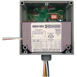 RIB Dry Contact Input Relay RIBD01BDC, Enclosed, Time Delay, 120VAC, 20A, SPDT