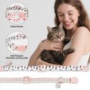 AIITLE 2 Pack Cat Collar Adjustable Breakaway with Detachable Bell