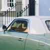Mr. & Mrs. Panda Car Sun Shade Caterpillar Butterfly Gift