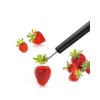 triangle Tomato Stalk 004 25 (Professional) for Strawberries and Tomatoes