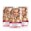 L'Oréal Paris L'Oreal excellence permanent hair dye
