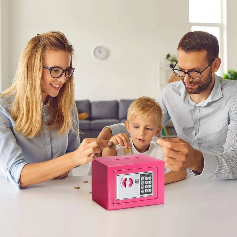 HF Pink Small Safe Box for Money - 0.23CF Mini