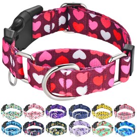 Fidohug Valentines Pink Martingale Collar for Dogs with Buckle Adjustable Heart Dog Collars (Burgundy Love, Large)