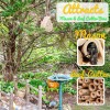 Made Easy Kit MEK Mason Bee House with Bamboo Tubes
