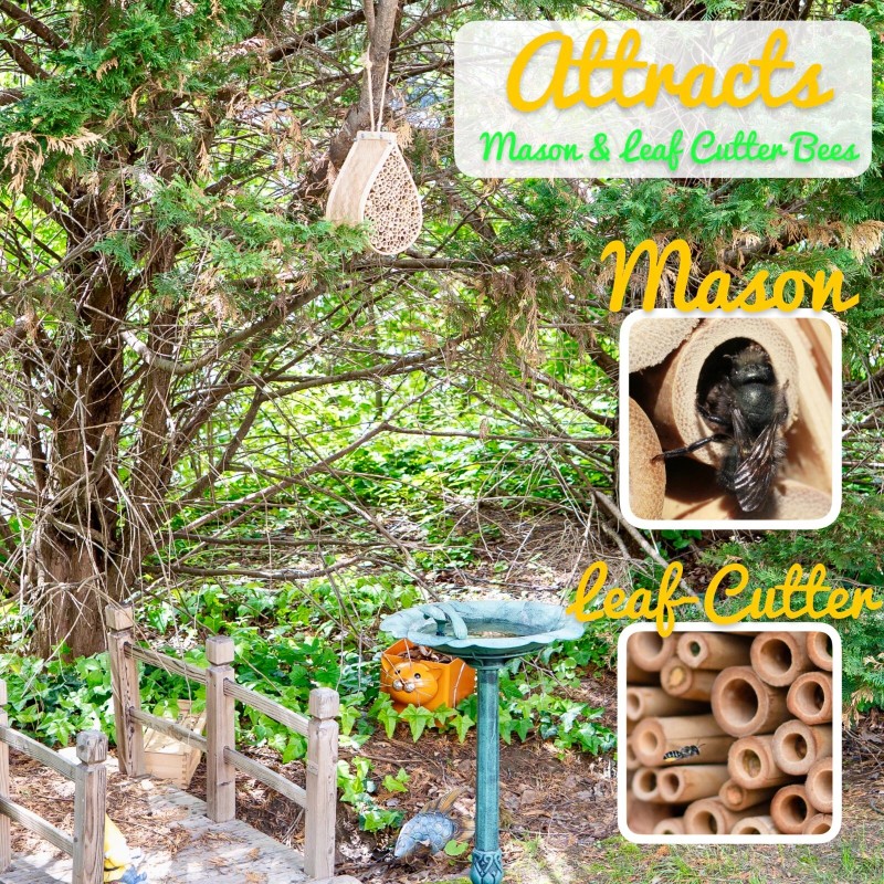 Made Easy Kit MEK Mason Bee House with Bamboo Tubes