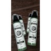 다운펌 두피보호제 스캘프 헤어토닉 종민쌤 200ml, (리뉴얼)우디, 1개 Down Perm