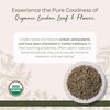 Starwest Botanicals Organic Linden Leaf & Flowers - Dried Loose