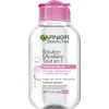 Garnier 2 x All in 1 Micellaire Solution for Sensitive